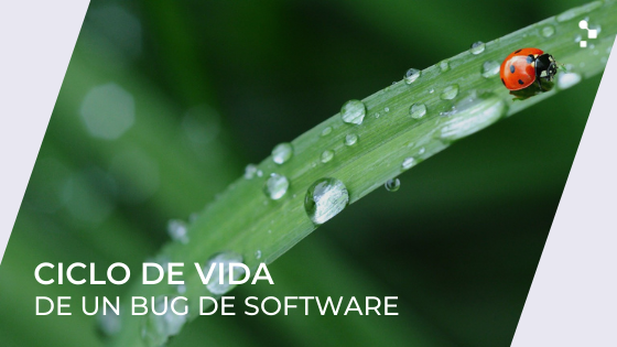 El error más común en el ciclo de vida del bug de software