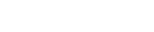 BlazeRunner logo