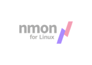 Nmon logo