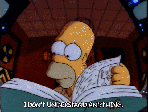 homer simpson with a manual