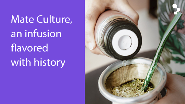 Yerba Mate, History, Culture and Joys of Yerba Mate