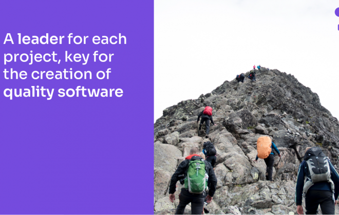 A leader for each project, key for the creation of quality software